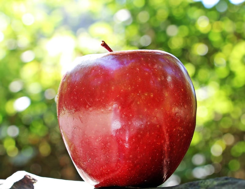 Fruits rich in vitamins