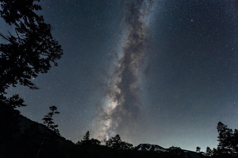 Nature Image